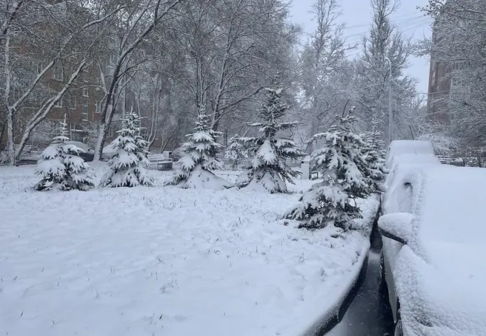 Cильный снегопад обрушился на Москву, за сутки выпала месячная норма осадков