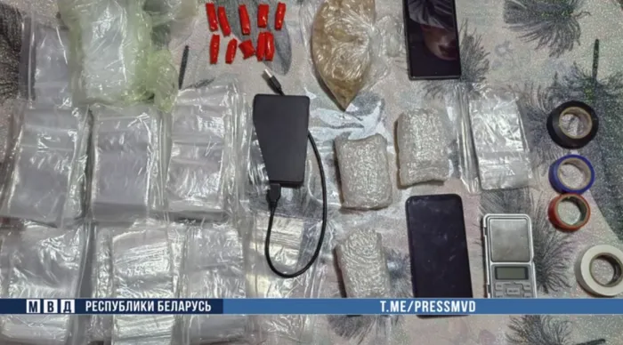 В Гомеле задержан оптовый закладчик