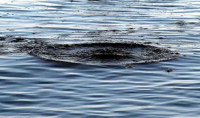 В Гомеле в водоеме утонула пенсионерка