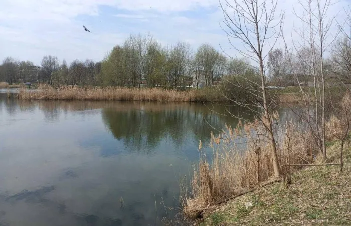 В озере на проспекте Космонавтов в Гомеле нашли тело мужчины, пропавшего в марте