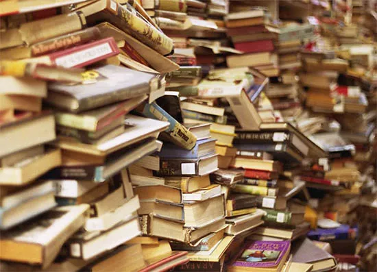 В Буда-Кошелеве задержан вор, который вынес книги, фотоальбомы и бидон