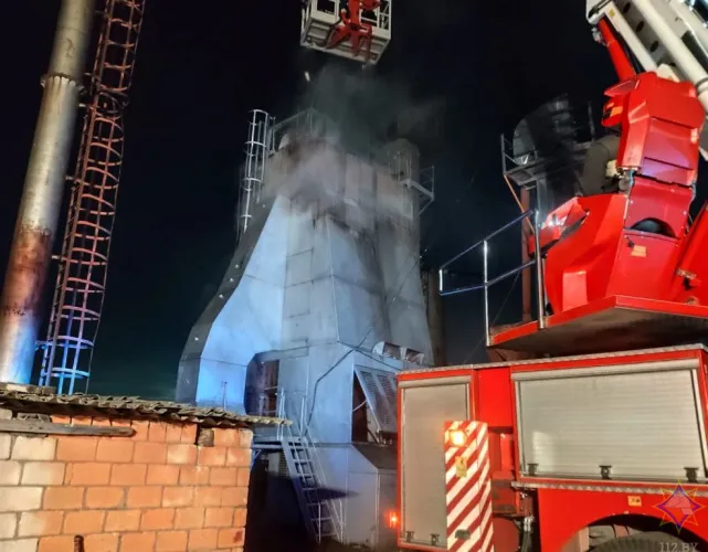 В Добрушском районе при пожаре уничтожено 1,5 тонн семян рапса