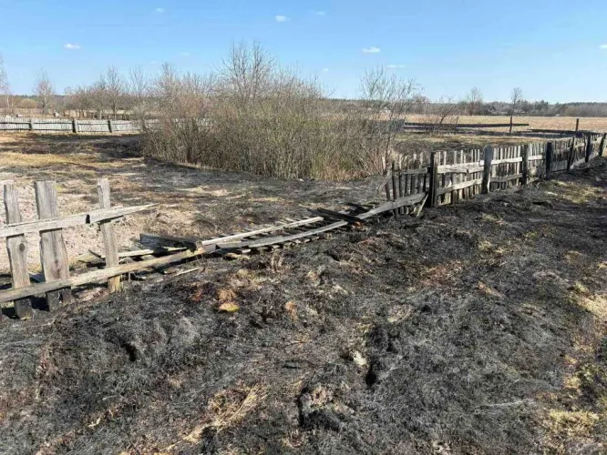 За сутки в Гомельской области ликвидировали 3 лесных пожара и 27 палов травы