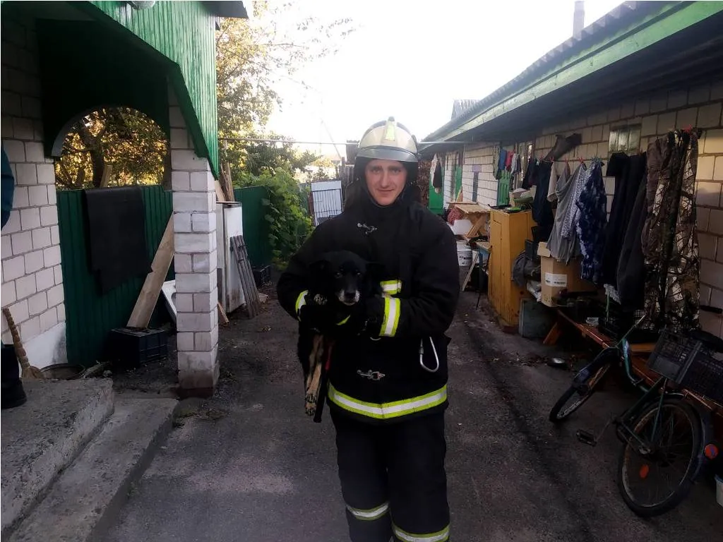 В Лельчицах собака упала в погреб: понадобилась помощь спасателей