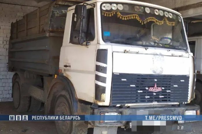 В Петриковском районе под колесами грузовика погиб ребенок 