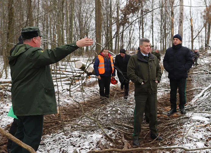 Министр лесного хозяйства Александр Кулик с рабочим визитом посетил Буда-Кошелевский район