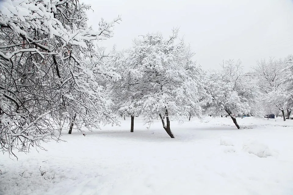 Небольшой снег и до -6°С ожидается в Гомеле 13 января