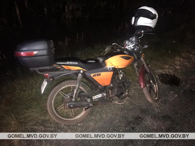 В Светлогорском районе мотоциклист сбил косулю