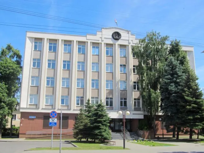 В Гомеле вынесли приговор руководительнице экстремистского формирования “Белсат”