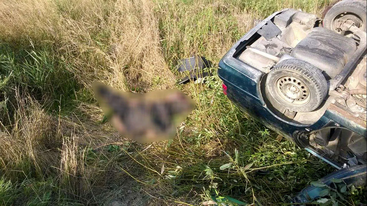 В Речицком районе в аварии погиб водитель