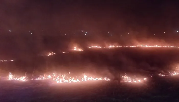 23 возгорания в природных экосистемах зафиксировано в Гомельской области