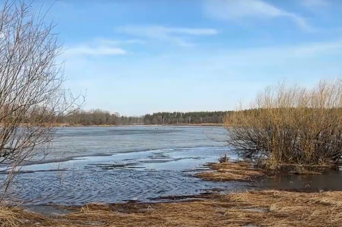 В Лоевском районе три рыбака провалились под лёд
