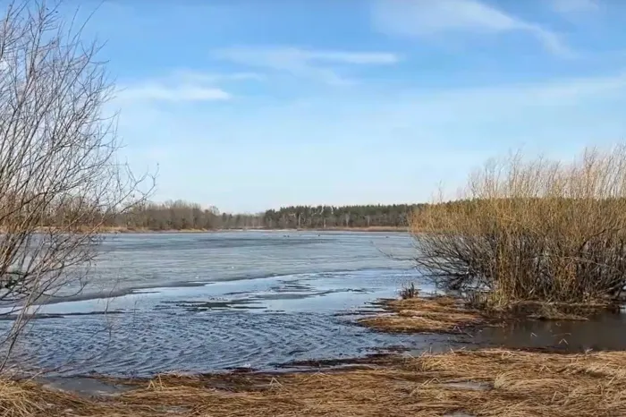 В Лоевском районе три рыбака провалились под лёд