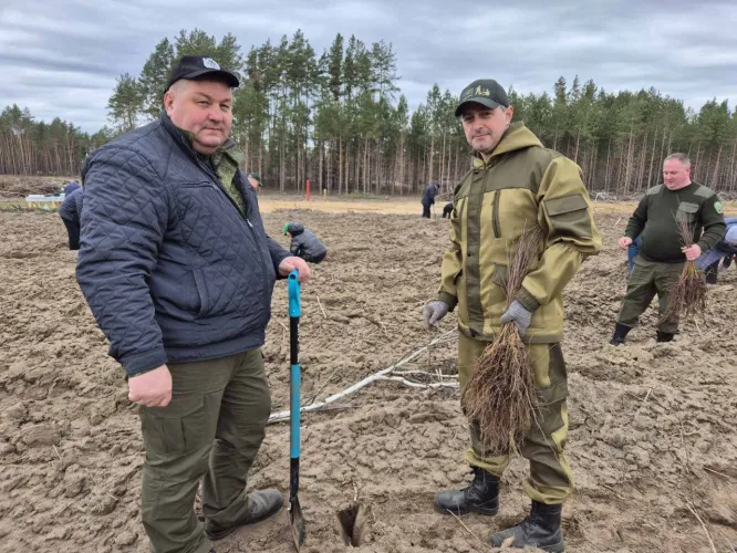 С заботой о главном природном богатстве. Первый заместитель председателя облисполкома Дмитрий Петрожицкий принял участие в посадке леса в Жлобинском районе