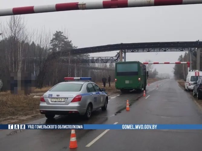 В Мозырском районе произошло смертельное ДТП