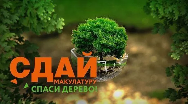 «Сортировка сегодня - чистое будущее завтра!»: названы победители конкурса по сбору макулатуры в Гомеле
