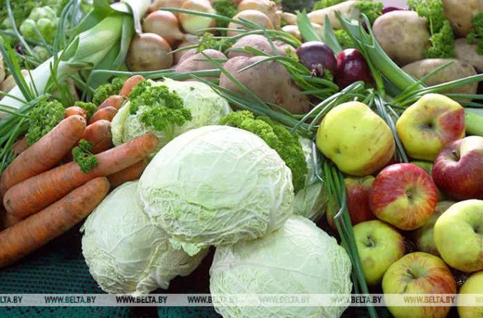 Беларусь занимает первое место в ЕАЭС по производству сельхозпродукции на душу населения