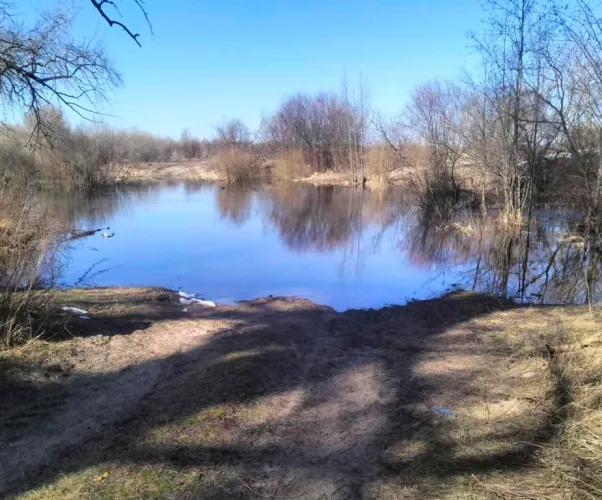 В Гомельской области вода подтопила три дороги и одно подворье