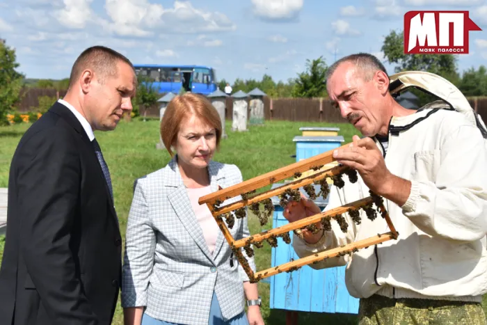 Областной семинар-практикум на Брагинщине: повышение качества жизни населения — во взаимодействии всех структур