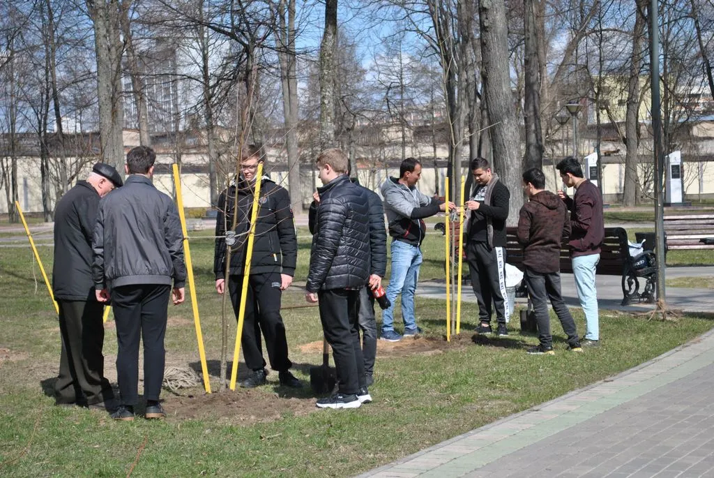 В ГГУ имени Франциска Скорины состоялась акция по озеленению территории