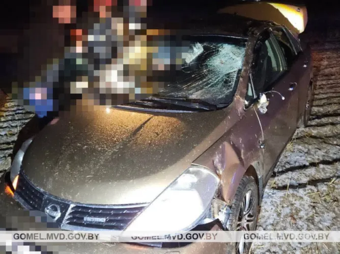 В Жлобинском районе опрокинулся «Ниссан». Пассажир госпитализирован