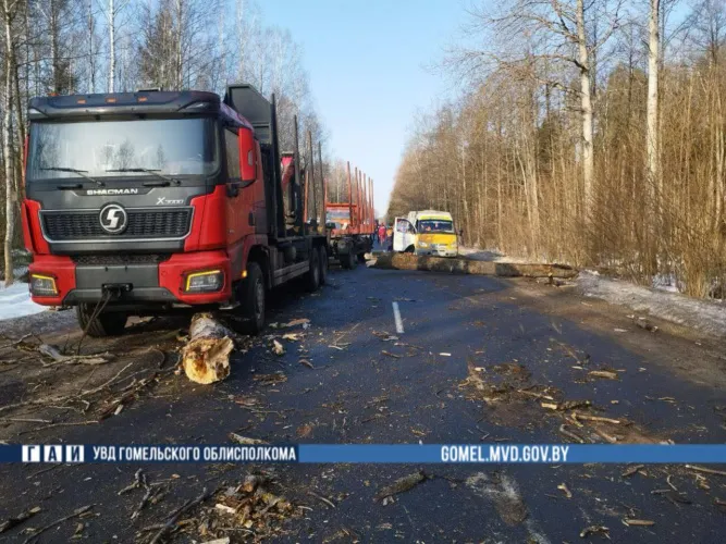 В Чечерском районе автомобиль насмерть сбил пешехода, который пытался убрать упавшее на дорогу дерево