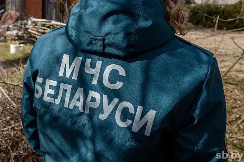 В Рогачевском районе нашли тело мужчины, который пропал вместе с лошадью и повозкой
