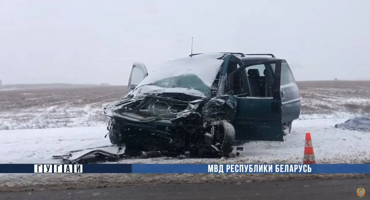 В Буда-Кошелевском районе в лобовом столкновении Peugeot и «МАЗа» погиб водитель легковушки