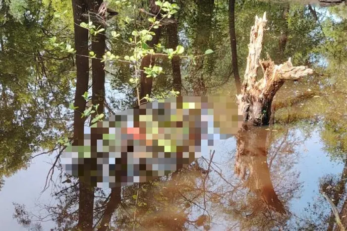 В Наровле в реке утонула местная жительница