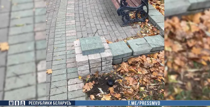В Гомеле задержали оптового наркокурьера из Бреста