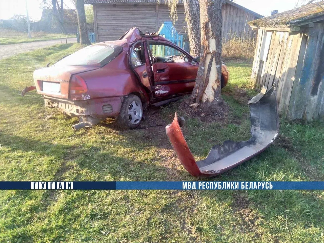 В Рогачевском районе нетрезвый водитель врезался в дерево: две пассажирки в больнице
