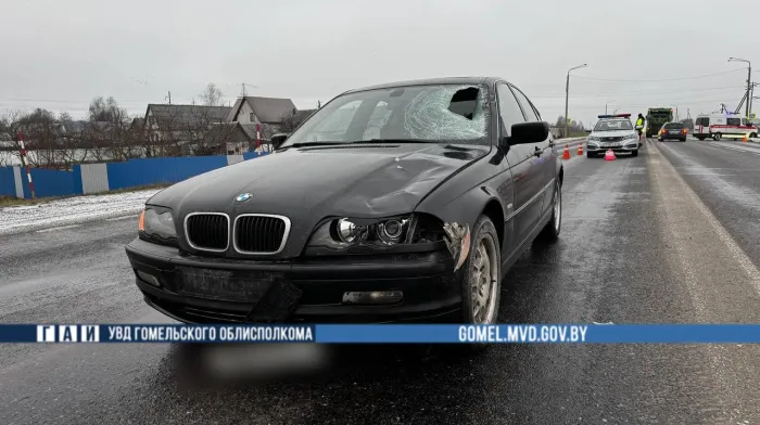 В Гомельском районе "БМВ" насмерть сбил пешехода