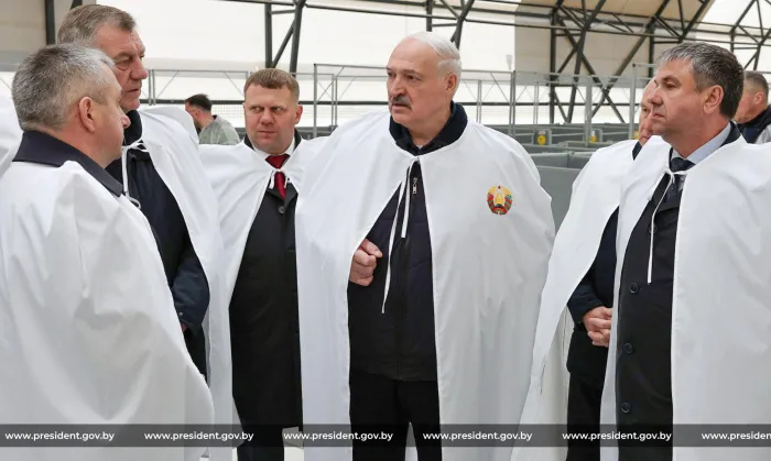 Рациональный подход с комфортом для телят: Александр Лукашенко оценил новые коровники в «Агро-Лясковичах»