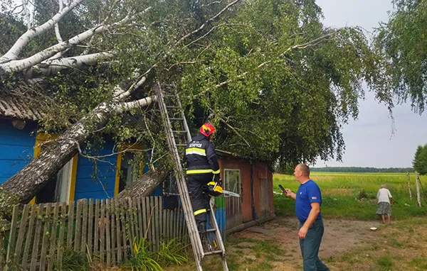 В беде не оставили. Продолжается расчистка населённых пунктов Жлобинщины от поваленных деревьев