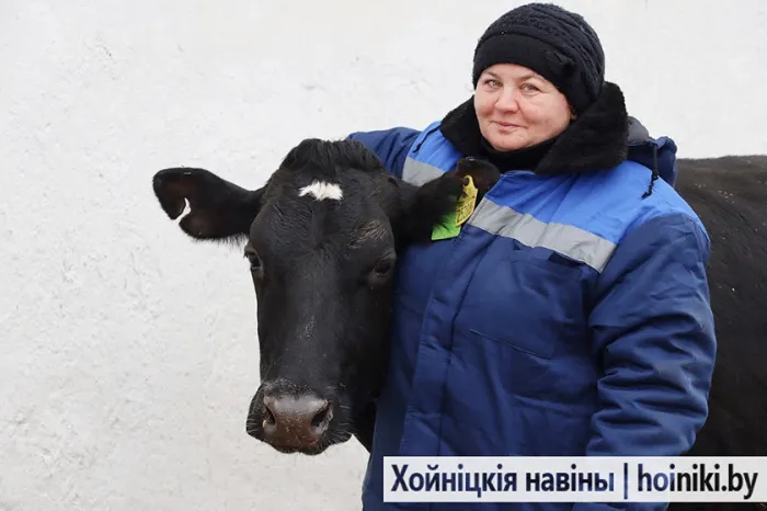 «Дзеўкі, на дойку!»: у Лідзіі Куку ў суткі выходзіць больш 21 літра малака ад кожнай каровы