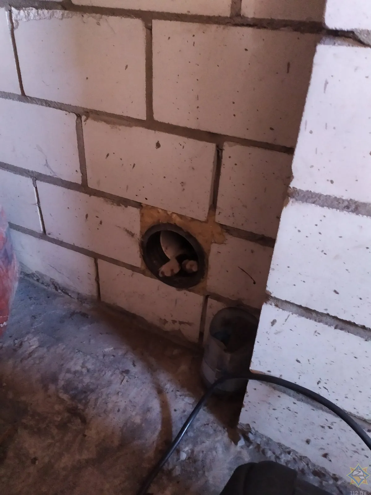 В Гомеле спасатели пришли на помощь чрезмерно любопытному коту