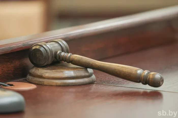 В Гомеле суд взыскал со страховщиков компенсацию вреда за поломку автомобиля на дорожной выбоине