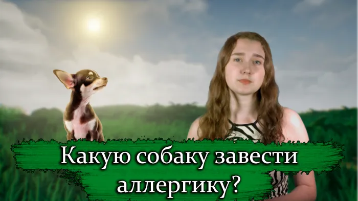 ПравдаБлог. Какую собаку завести аллергику?