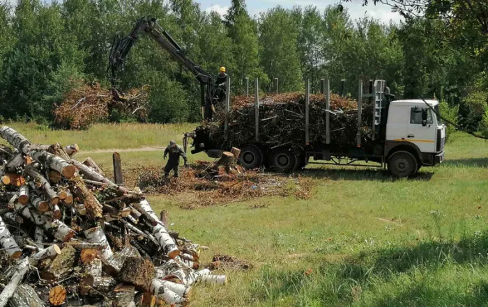 Жители Жлобинского района продолжают наводить порядок после разгула стихии