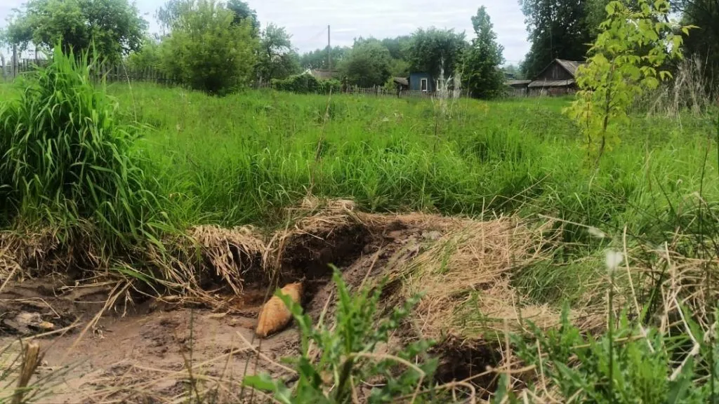 В Чечерском районе случайно откопали снаряд времен Великой Отечественной войны