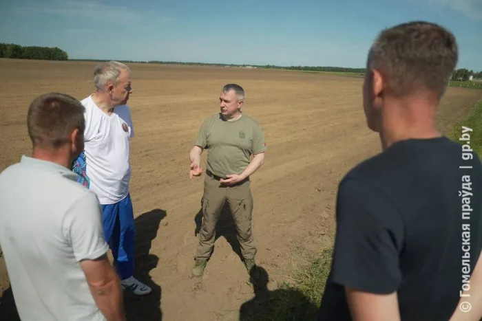 Погода благоволит: Иван Крупко проинспектировал поля хозяйства «Дубрава-Агро» в Светлогорском районе 