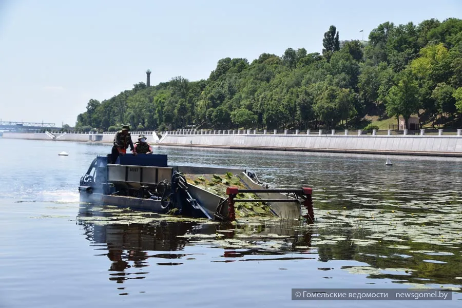 Немецкий водный комбайн убирает растительность в акватории гомельского центрального пляжа