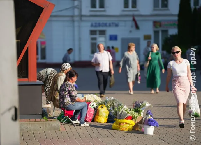Товар со знаком вопросительного качества. Как бороться с торговлей «с земли» и что могут продавать дачники вне рынка