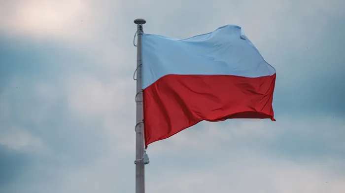 Полякам предложили собирать в лесу хворост для отопления из-за высоких цен на энергоносители