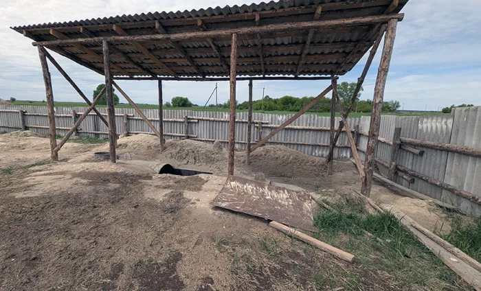 Прокуратура Гомельской области потребовала устранить нарушения, связанные с захоронением и уничтожением сельскохозяйственных животных