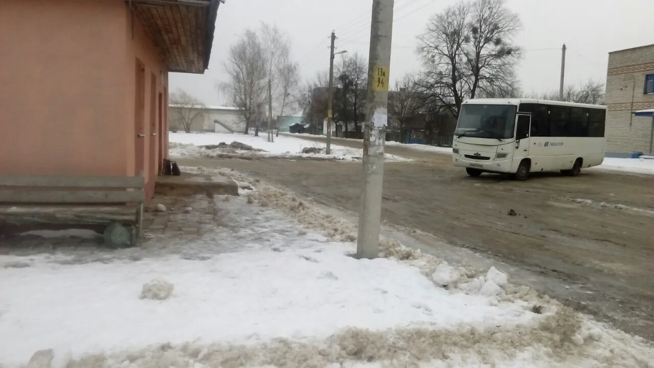 В Петриковском районе автобус сбил женщину на обочине. Она в больнице