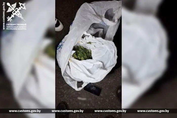 Жлобинчанина с марихуаной задержали при выезде из Беларуси