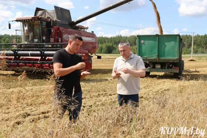 Уборочная страда - не время расслабляться. Иван Крупко посетил Чечерский, Рогачевский и Кормянский районы