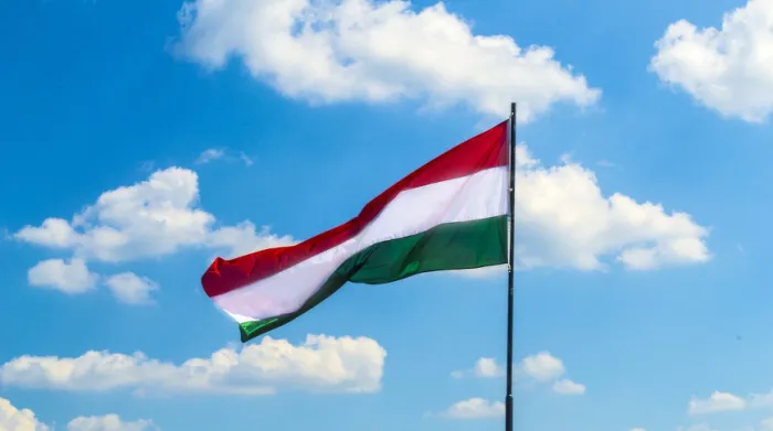 Венгрия 1 июля стала председателем Совета ЕС