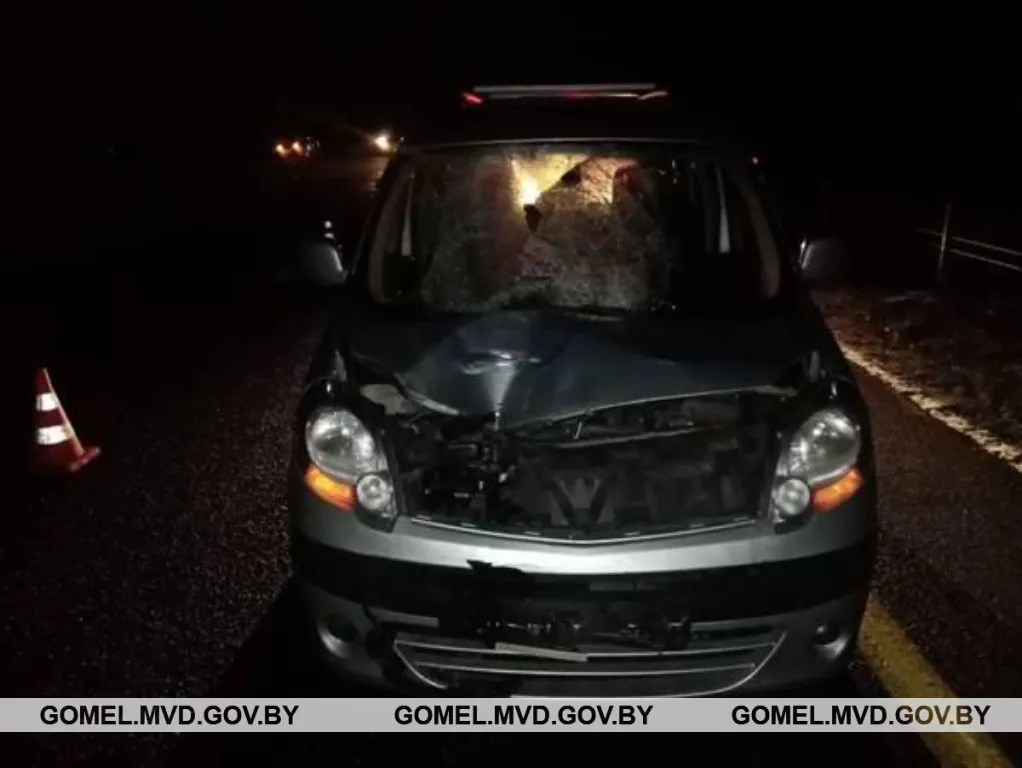 В Гомельской области произошло 2 ДТП с участием пешеходов: 2 человека погибли